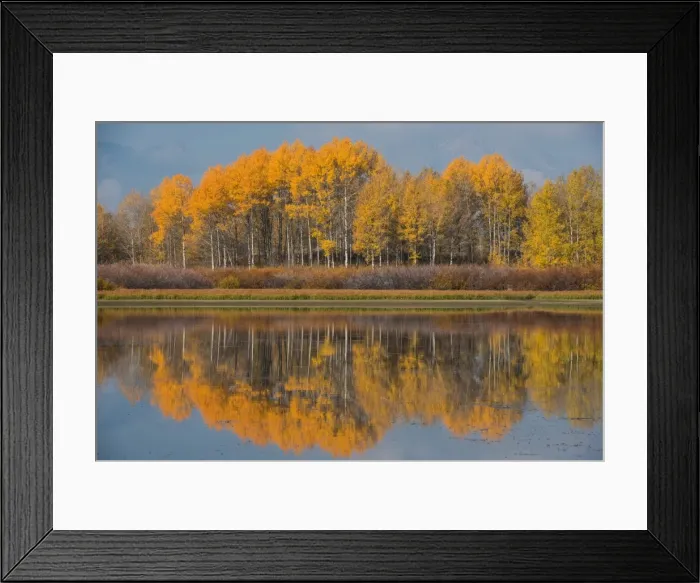 Framed Print : Grand Teton National Park Wyoming USA Framed Print : Grand Teton National Park Wyoming USA