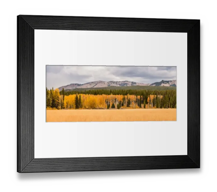 Framed Print : Grand Teton National Park Wyoming USA Framed Print : Grand Teton National Park Wyoming USA