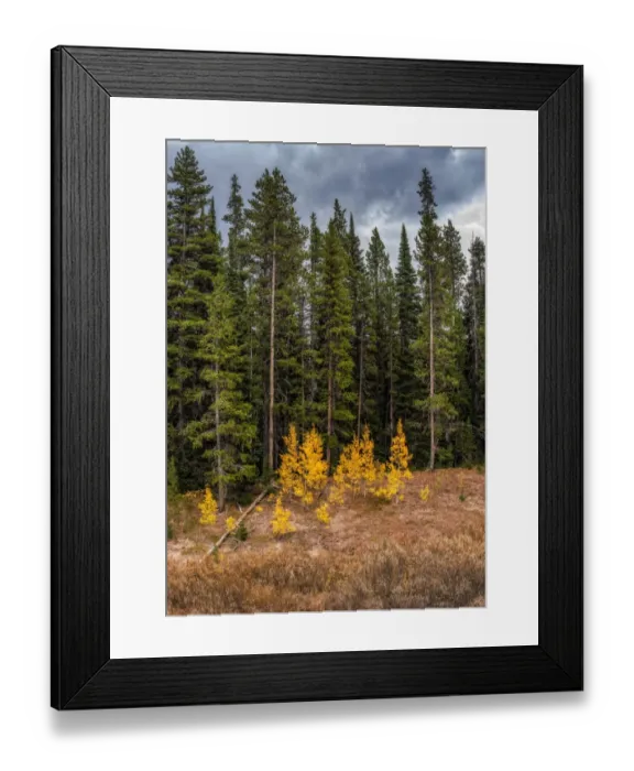 Framed Print : Grand Teton National Park Wyoming USA Framed Print : Grand Teton National Park Wyoming USA