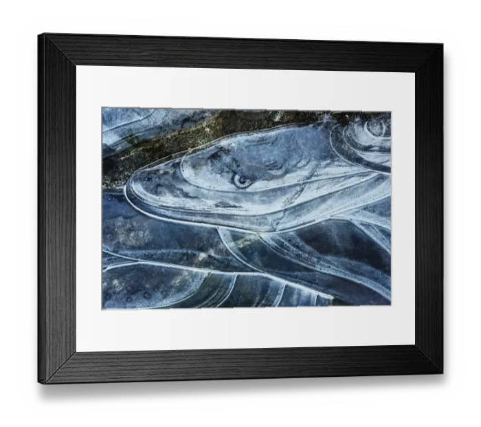 Framed Print : Ice Serpent - River Sligachan Ice Abstraction #7 Framed Print : Ice Serpent - River Sligachan Ice Abstraction #7