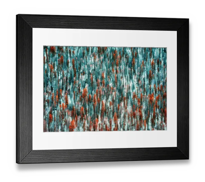 Framed Print : Trees on a Mountainside located near Zion National Park Framed Print : Trees on a Mountainside located near Zion National Park