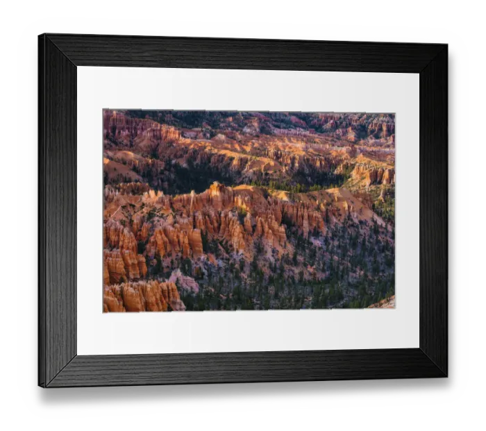 Framed Print : Bryce Canyon Hoodos Framed Print : Bryce Canyon Hoodos