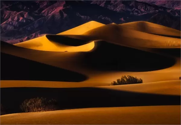 Death Valley Sand Dunes in Last Light