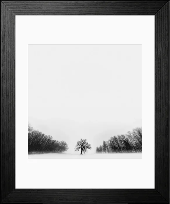 Framed Print : Winter Tree located in rural Rock County Wisconsin Framed Print : Winter Tree located in rural Rock County Wisconsin
