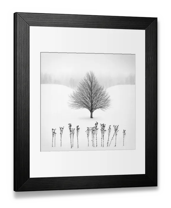 Framed Print : Winter Tree Framed Print : Winter Tree