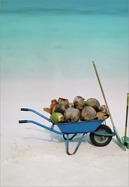 Adnet, No People, Outdoors, Day, Square Image, Large Group Of Objects, Coconut