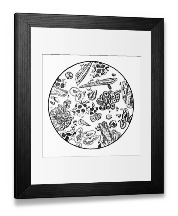 Framed Print : Coffee under microscope Framed Print : Coffee under microscope