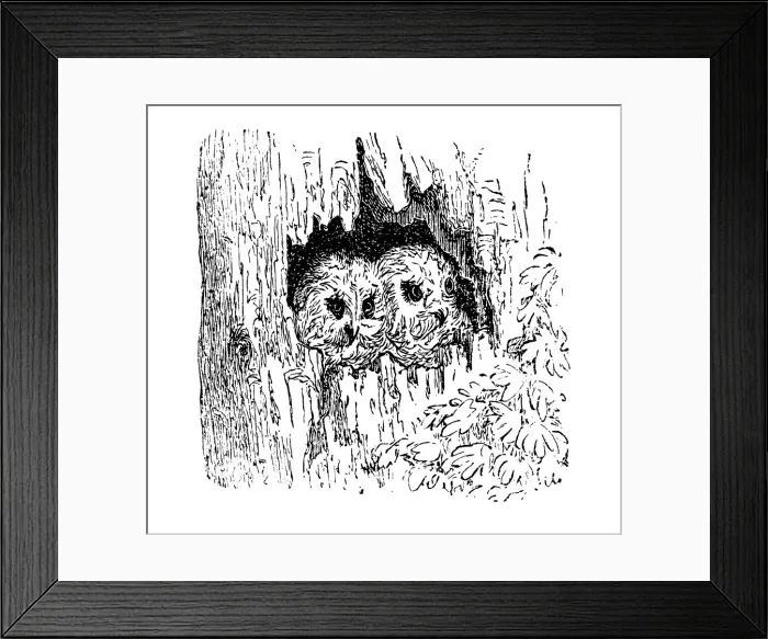 Framed Print : Nest of owl Framed Print : Nest of owl