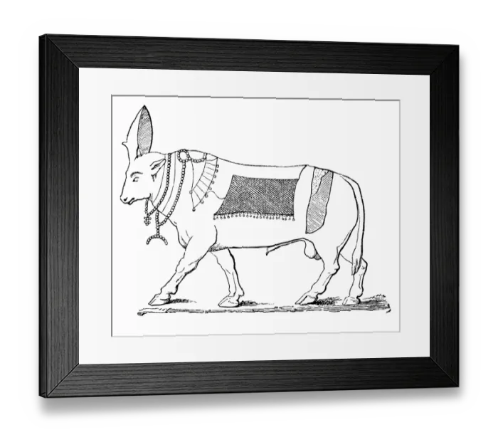 Framed Print : Apis bull. Illustration of a apis bull Framed Print : Apis bull. Illustration of a apis bull