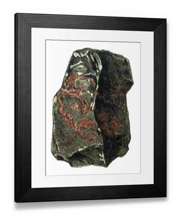Framed Print : Heliotrope, bloodstone Framed Print : Heliotrope, bloodstone