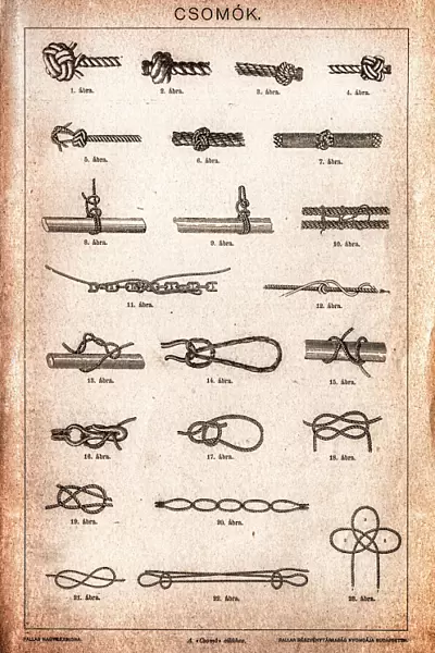 Knots. Illustration of a Knots