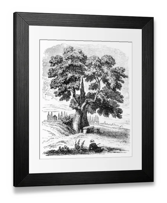 Framed Print : Man under tree Framed Print : Man under tree