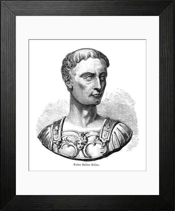 Framed Print : Julius Caesar Framed Print : Julius Caesar