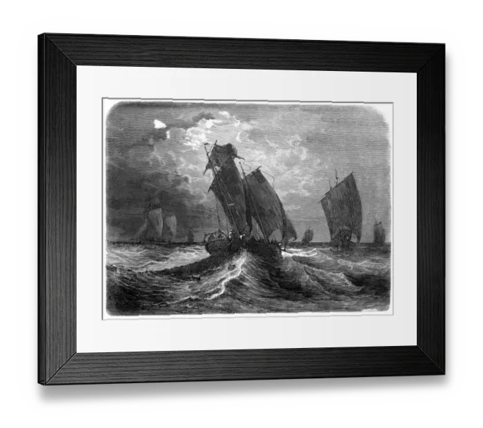 Framed Print : Herring Fishing Framed Print : Herring Fishing
