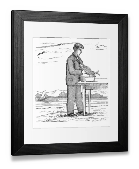 Framed Print : Getting spawn out of fish Framed Print : Getting spawn out of fish