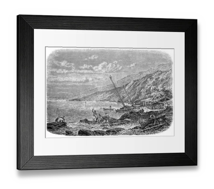 Framed Print : Tuna fishing Framed Print : Tuna fishing