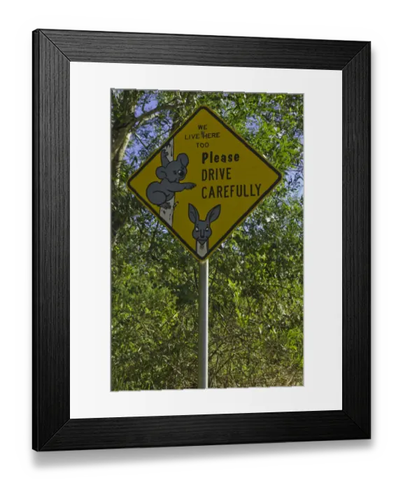 Framed Print : Warning sign about koalas and kangaroos Framed Print : Warning sign about koalas and kangaroos