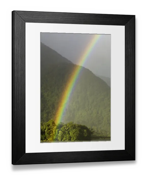 Framed Print : Rainbow over Hst River and native bush, N. Z Framed Print : Rainbow over Hst River and native bush, N. Z