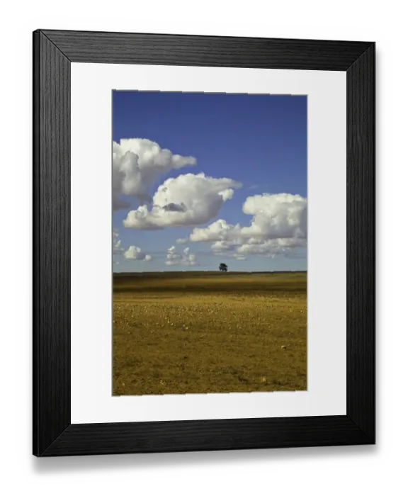 Framed Print : Beautiful cumulus clouds and lone tree, Australia Framed Print : Beautiful cumulus clouds and lone tree, Australia