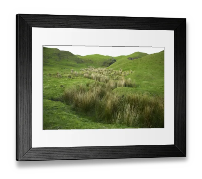 Framed Print : Hilly pasture with tussock grass, dusk Framed Print : Hilly pasture with tussock grass, dusk
