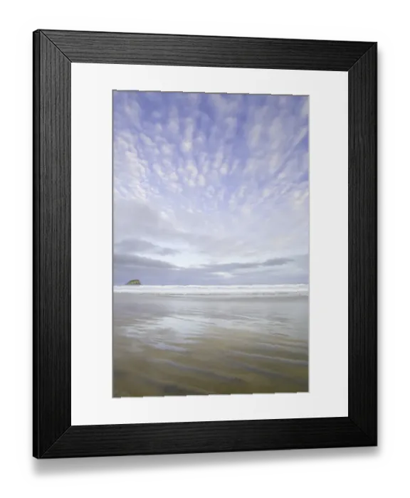 Framed Print : New Zealand, South Island, Otago, The Catlins, beach Framed Print : New Zealand, South Island, Otago, The Catlins, beach