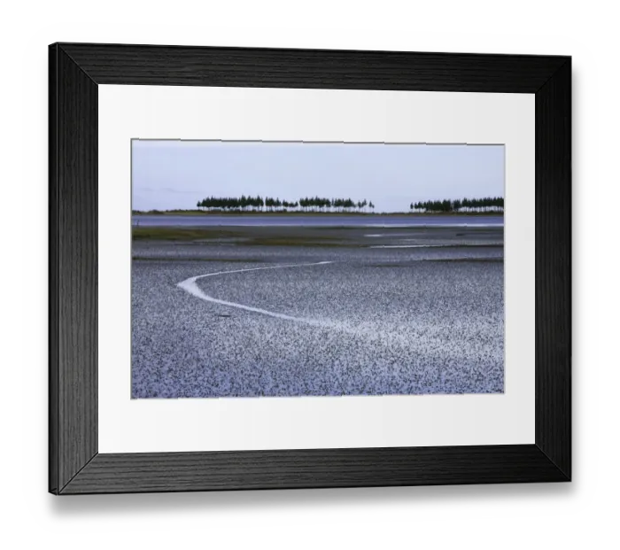 Framed Print : New Zealand, South Island, Golden Bay, mud flats at low tide Framed Print : New Zealand, South Island, Golden Bay, mud flats at low tide