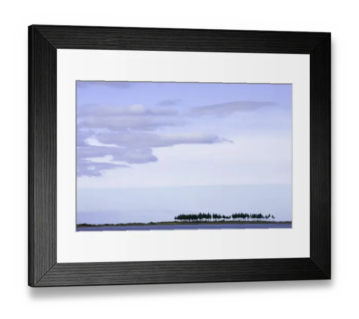 Framed Print : New Zealand, South Island, Golden Bay, pine trees on peninsular Framed Print : New Zealand, South Island, Golden Bay, pine trees on peninsular