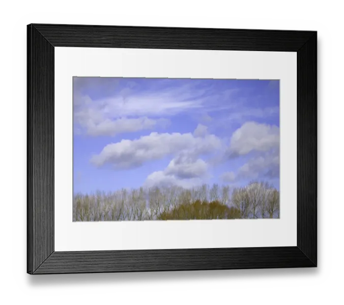Framed Print : Cumulus clouds and trees, winter