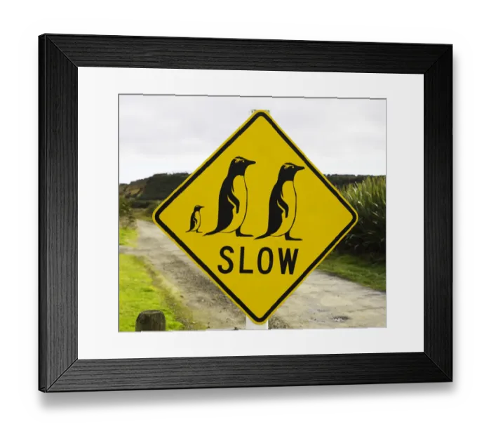 Framed Print : Penguin crossing sign on country road Framed Print : Penguin crossing sign on country road