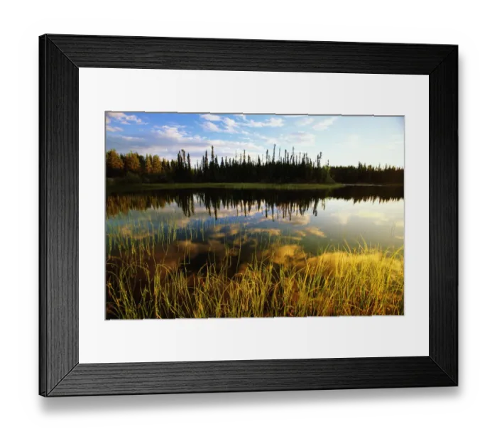 Framed Print : Canada, Yukon territory, trees reflecting in lake at sunrise