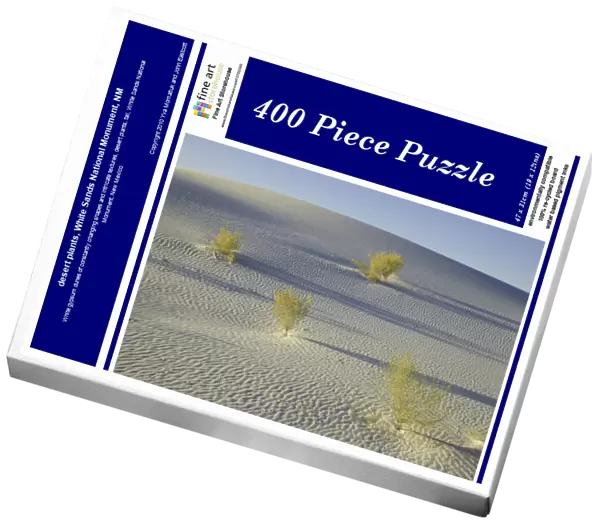 desert plants, White Sands National Monument, NM