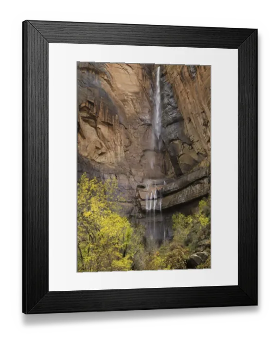 Framed Print : cottonwood trees, seasonal waterfall, Zion N. P Framed Print : cottonwood trees, seasonal waterfall, Zion N. P