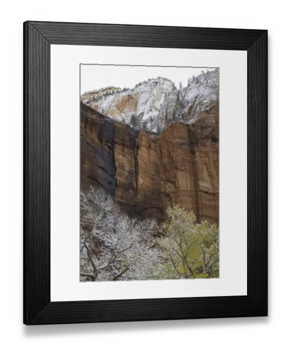Framed Print : cottonwood trees, red sandstone walls, Zion N. P Framed Print : cottonwood trees, red sandstone walls, Zion N. P