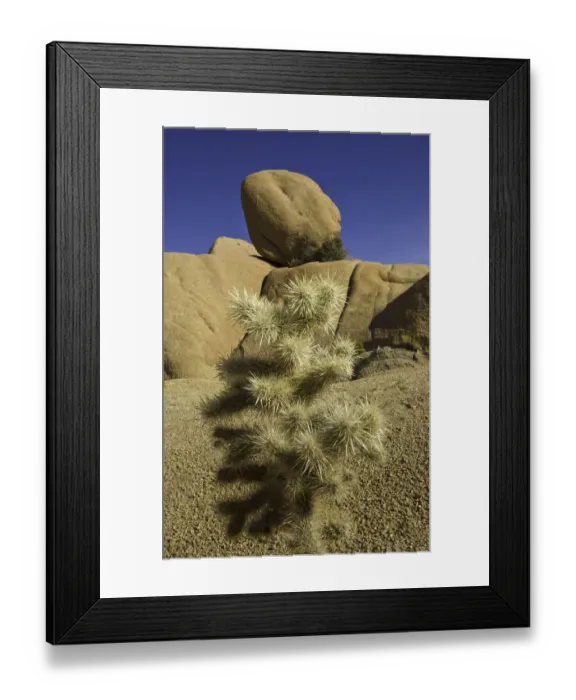 Framed Print : rock formations, cactus, Joshua Tree National Park Framed Print : rock formations, cactus, Joshua Tree National Park