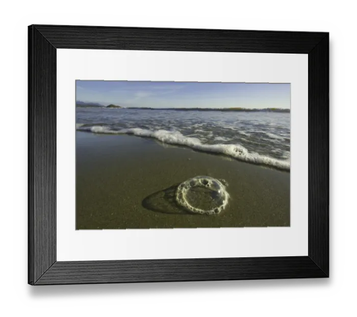 Framed Print : Foam bubbles on sandy beach, BC, Canada