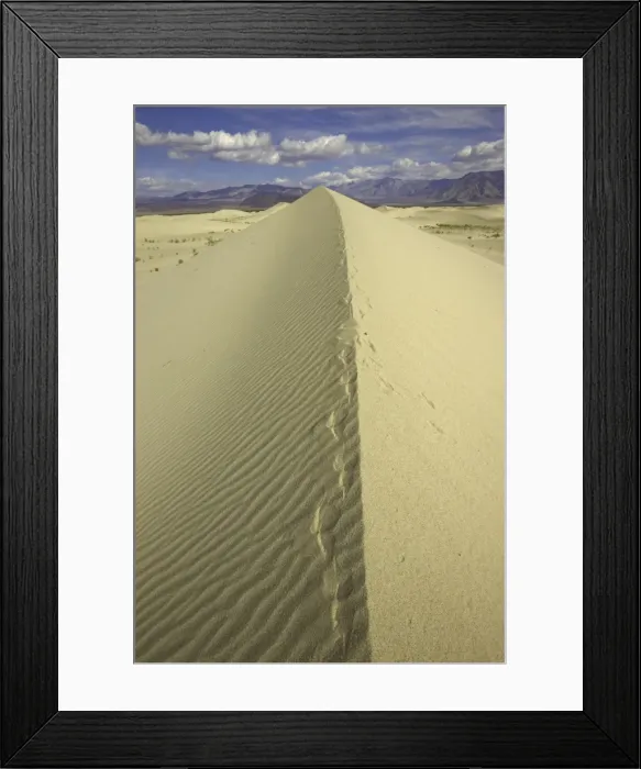 Framed Print : Fox tracks, Saline Valley sand dunes, CA Framed Print : Fox tracks, Saline Valley sand dunes, CA