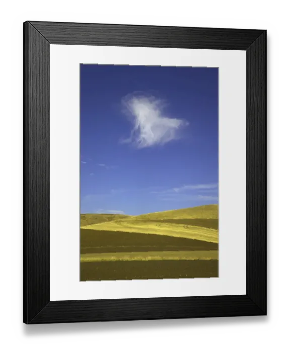 Framed Print : Harvested wheat fields, Palouse Hills, WA Framed Print : Harvested wheat fields, Palouse Hills, WA