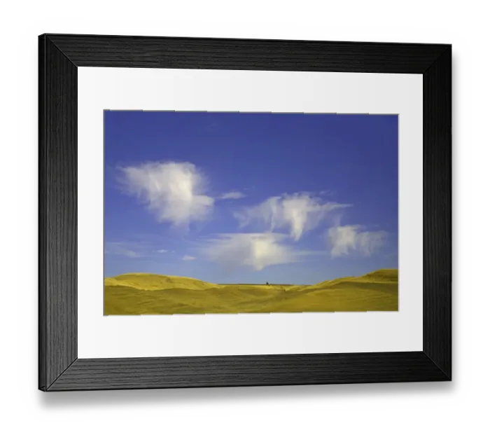 Framed Print : Harvested wheat fields, Palouse Hills, WA Framed Print : Harvested wheat fields, Palouse Hills, WA