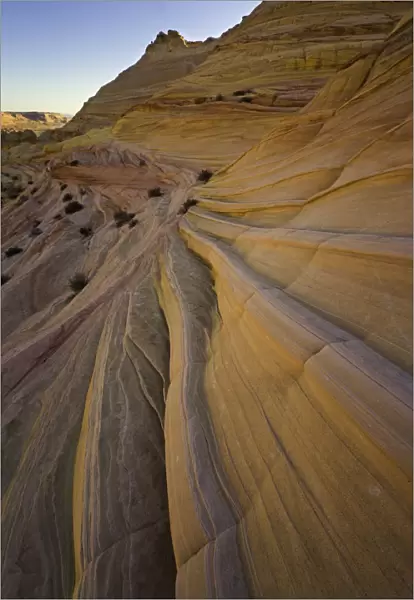Colorful twisted sandstone layers, Arizona