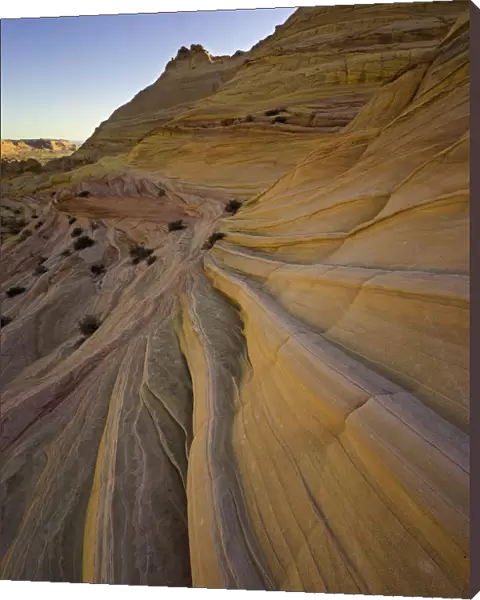 Colorful twisted sandstone layers, Arizona