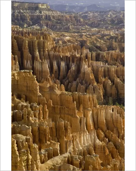 Sandstone pinnacles, Bryce Canyon N. P