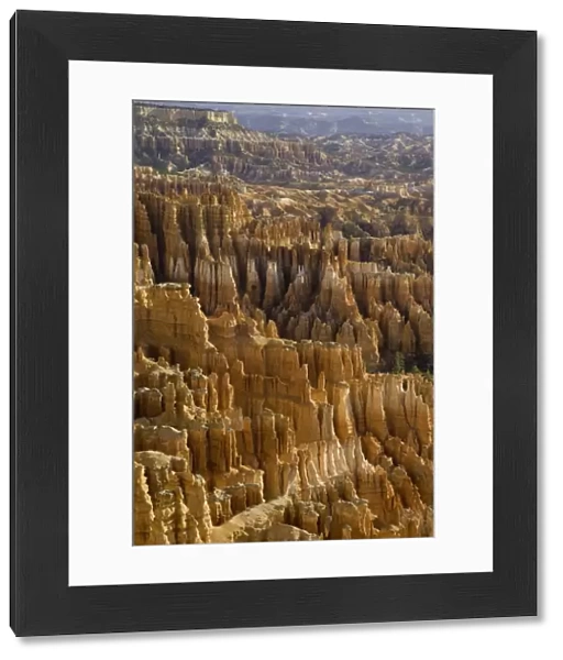 Sandstone pinnacles, Bryce Canyon N. P