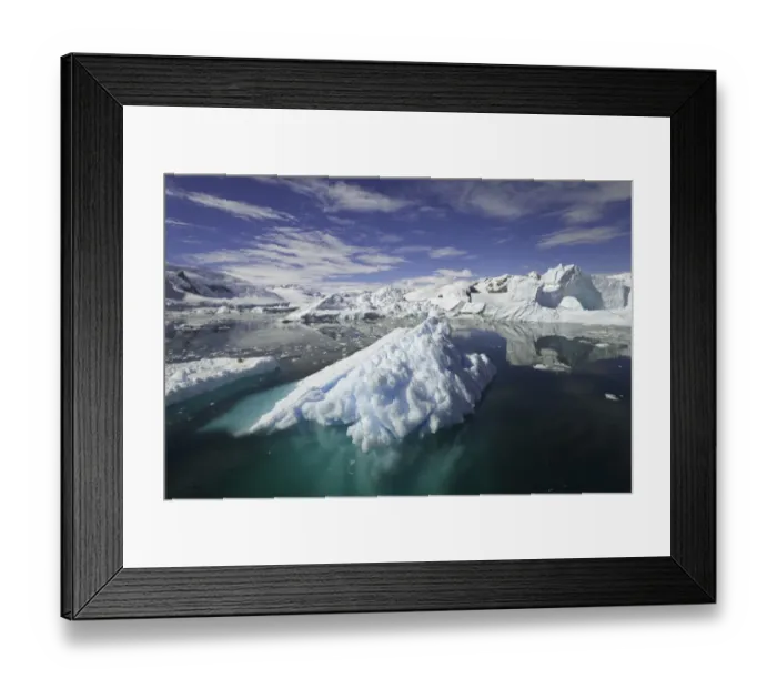 Framed Print : Icebergs, Collins Bay, Antarctic Peninsula Framed Print : Icebergs, Collins Bay, Antarctic Peninsula