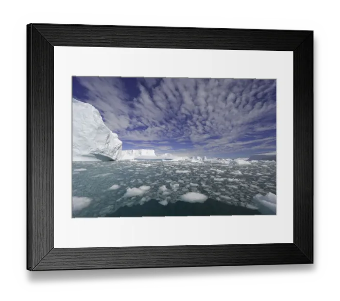Framed Print : Icebergs, Collins Bay, Antarctic Peninsula