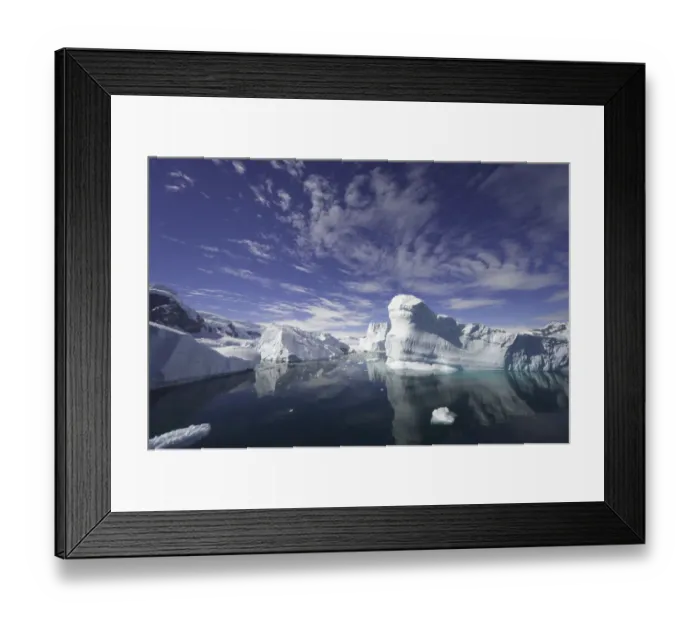 Framed Print : Icebergs, Collins Bay, Antarctic Peninsula Framed Print : Icebergs, Collins Bay, Antarctic Peninsula