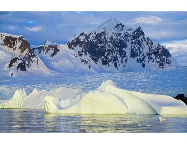Icebergs, Wiggins Glacier, Antarctica