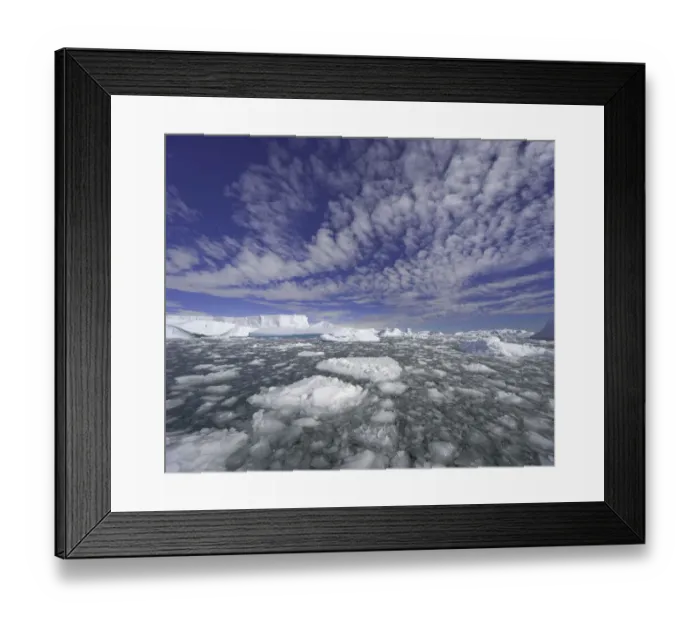 Framed Print : Icebergs, ice floes, Collins Bay, Antarctic Pen