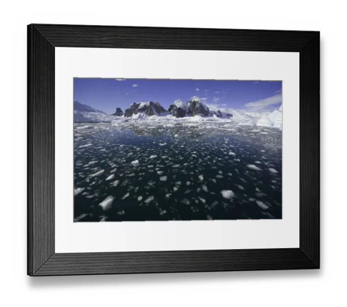 Framed Print : Collins Bay, Western Antarctic Peninsula Framed Print : Collins Bay, Western Antarctic Peninsula