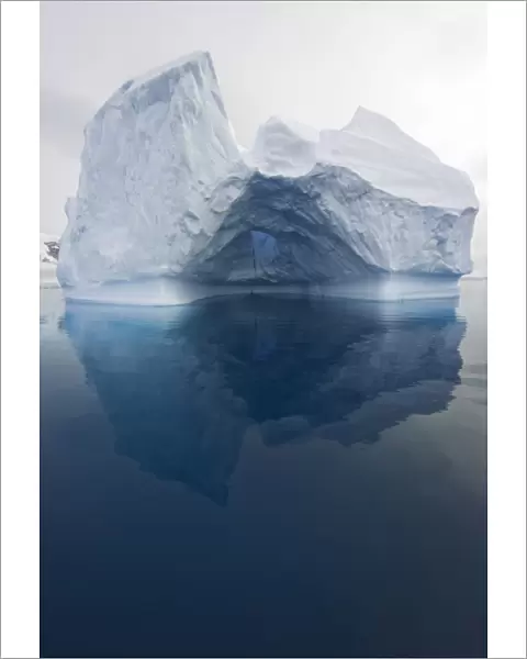 iceberg and reflections, Antarctic Peninsula
