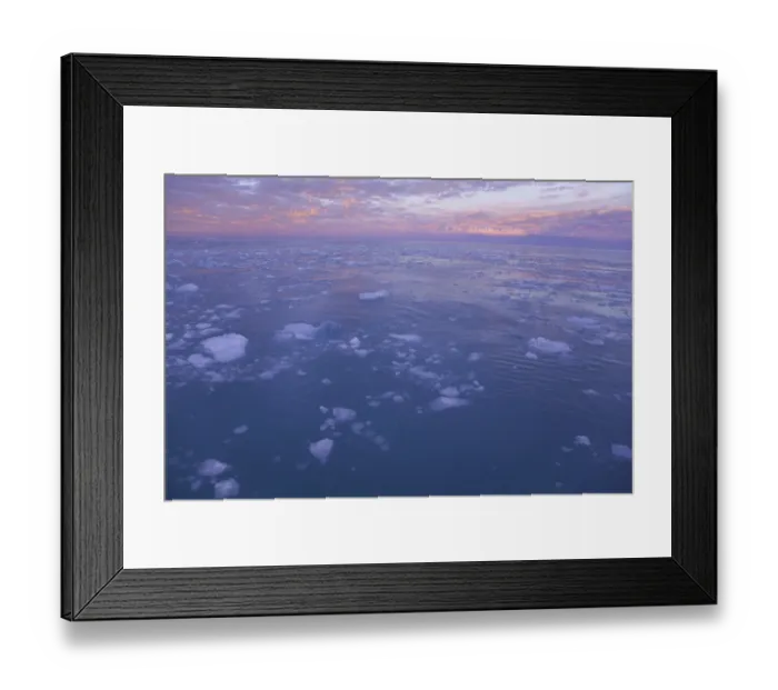 Framed Print : South Georgia, cumulus clouds in sky over ice floe, sunrise Framed Print : South Georgia, cumulus clouds in sky over ice floe, sunrise